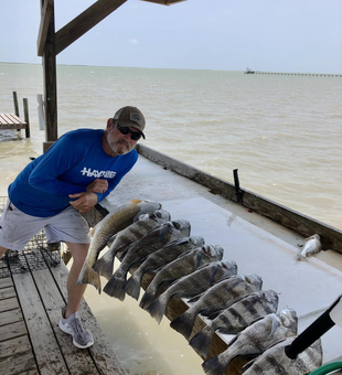 Rockport: Where Sheepshead fishing dream come true